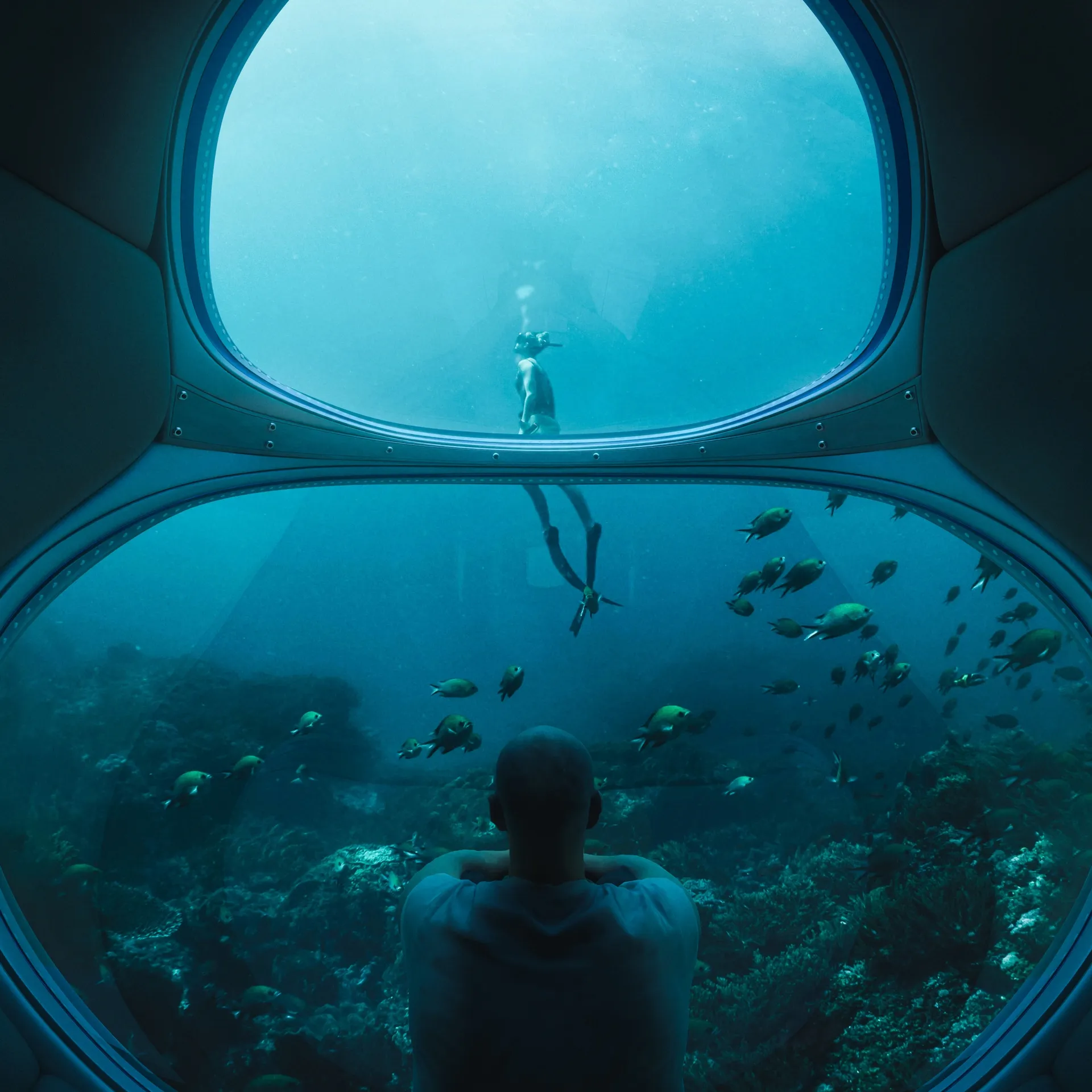A window looking out at the underwater world