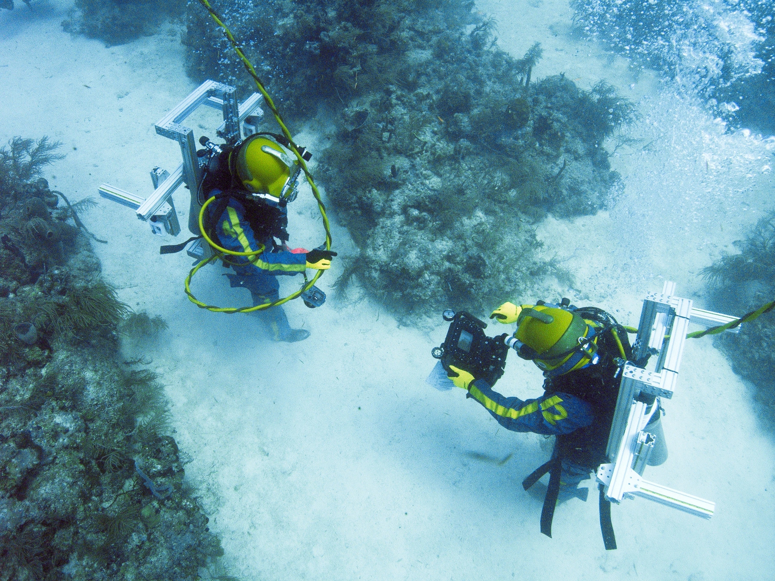 Divers on the seabed